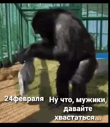 Кому чё подарили?