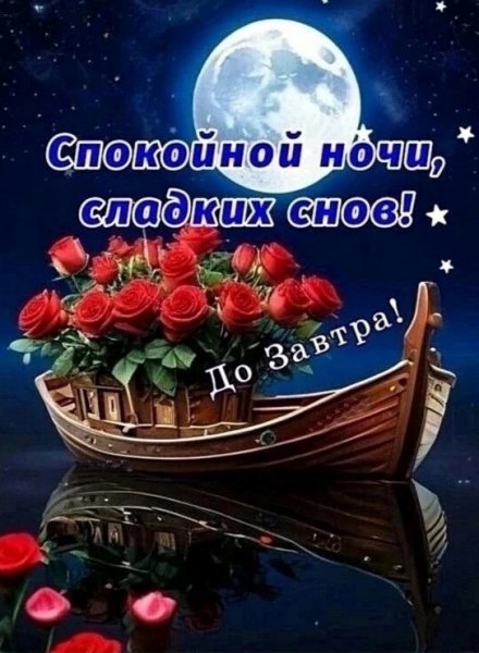 IMG 20260901 231146