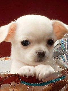 file_46988481