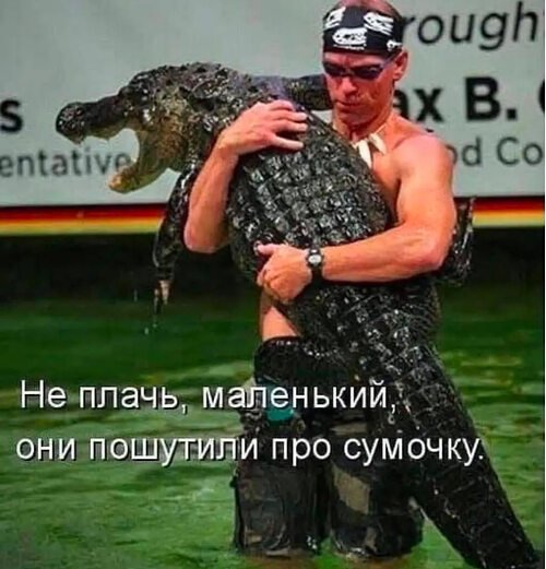 x500