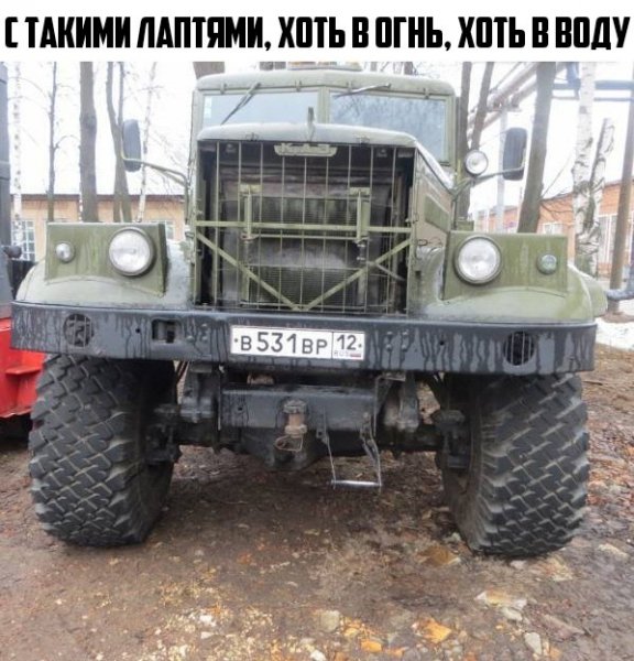 NY794