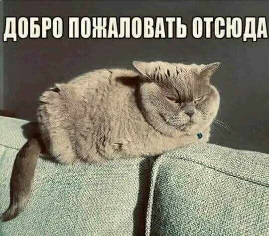 FB IMG 1757783898828