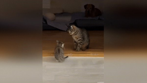 Нельзя обижать маленьких...