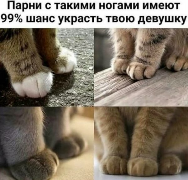 file_102819736