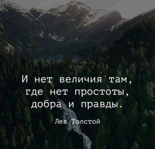 file_95608074