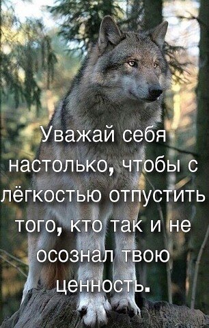 image (74)