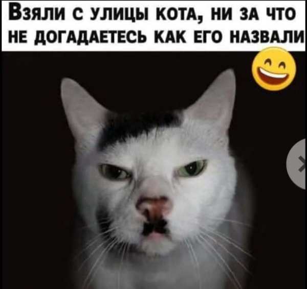 FB IMG 1779989939611