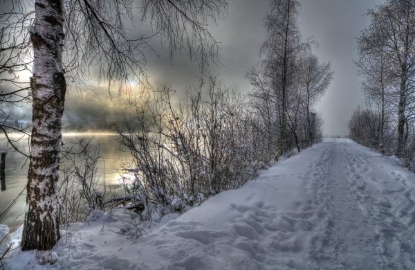 Image (36)