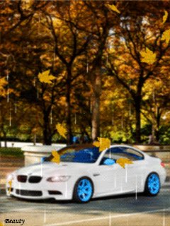 file_62438079
