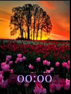 природа 8