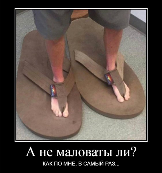 А не маловаты?