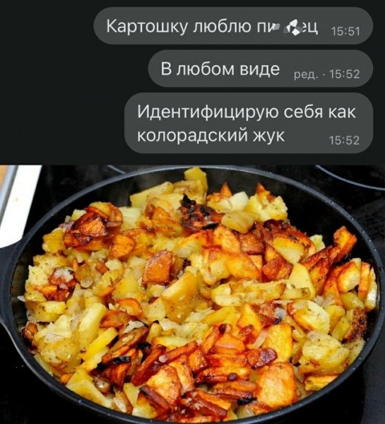 file_101137817