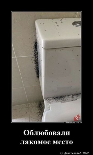 Да уж...