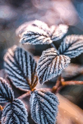 file_76415454