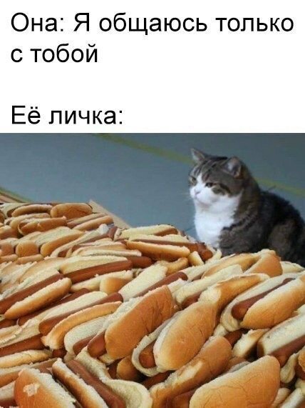file_102819552