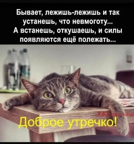 FB IMG 1780950276193