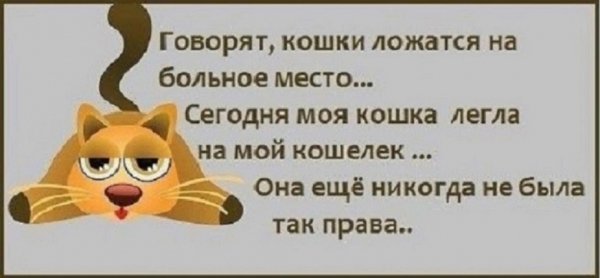 Говорят кошки ложатся на больное место...