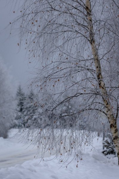 IMG 20260125 154252 949