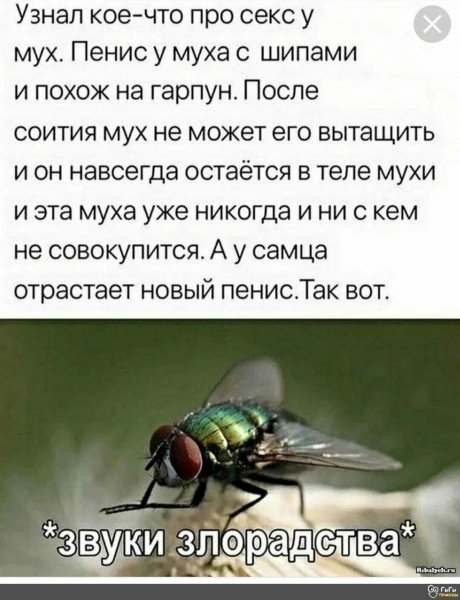IMG 20260701 000114