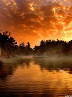 file_83447229
