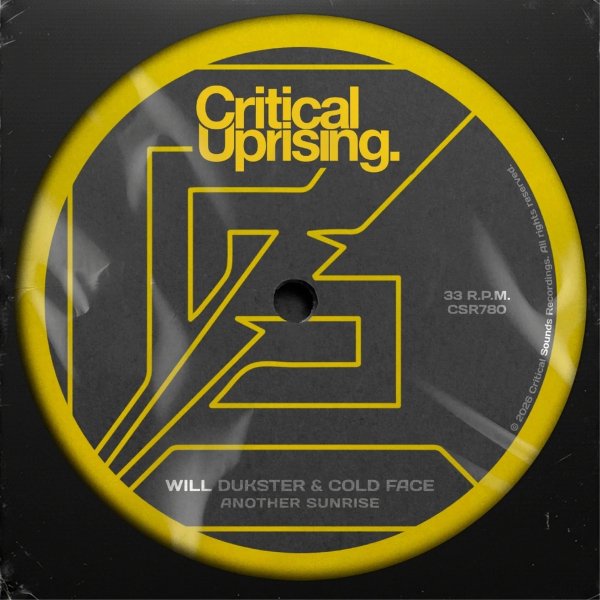 Will Dukster &amp; Cold Face - Another Sunrise (Extended Mix)
