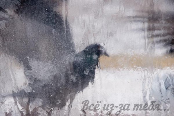 Три дня дождя - Всё из-за тебя
