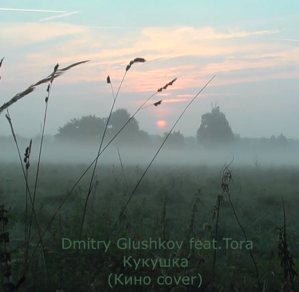 Dmitry Glushkov feat.Tora - Кукушка (Кино Cover)