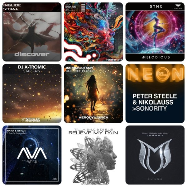 Peter Steele Ft Nikolauss - Sonority (Extended Mix)