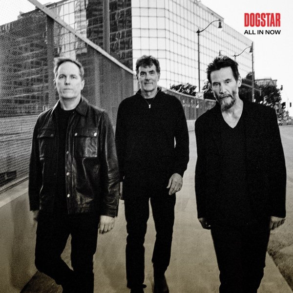 DOGSTAR - Shallow Easy