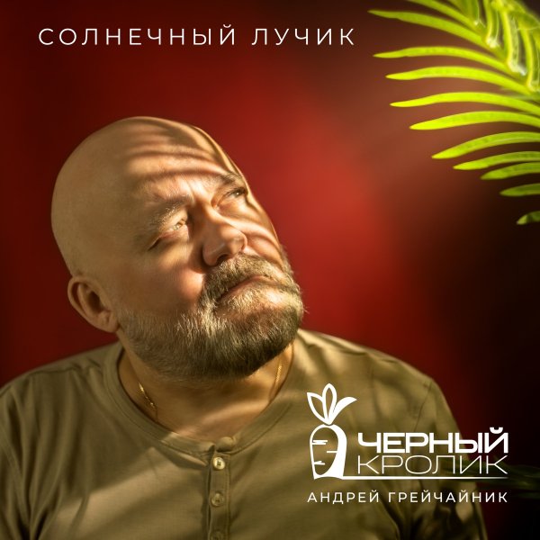 Чёрный кролик &amp; Андрей Грейчайник - Солнечный лучик