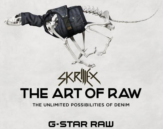 Skrillex - The Art of RAW