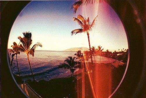 Delusion feat. Monna - Fight For Love Dapa Deep Remix httpvk.comdeepermind