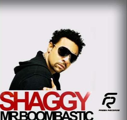 Shaggy - Boombastic