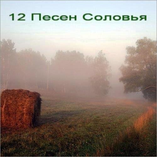 Соловьиная роща - Первая песня «Утренняя, лирическая»