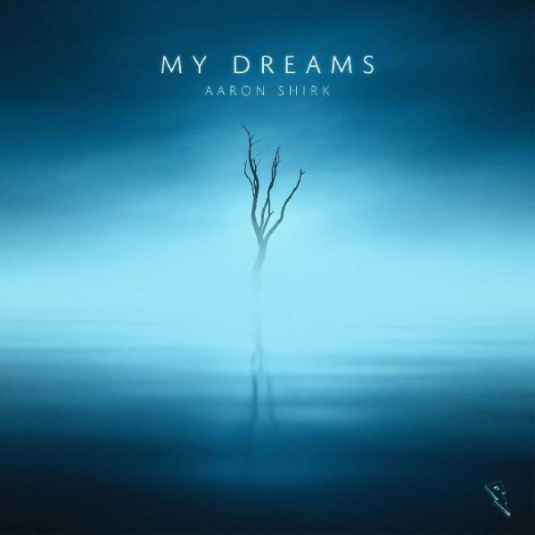 Aaron Shirk - Final Journey