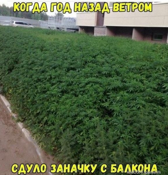Тото - бум - Бум