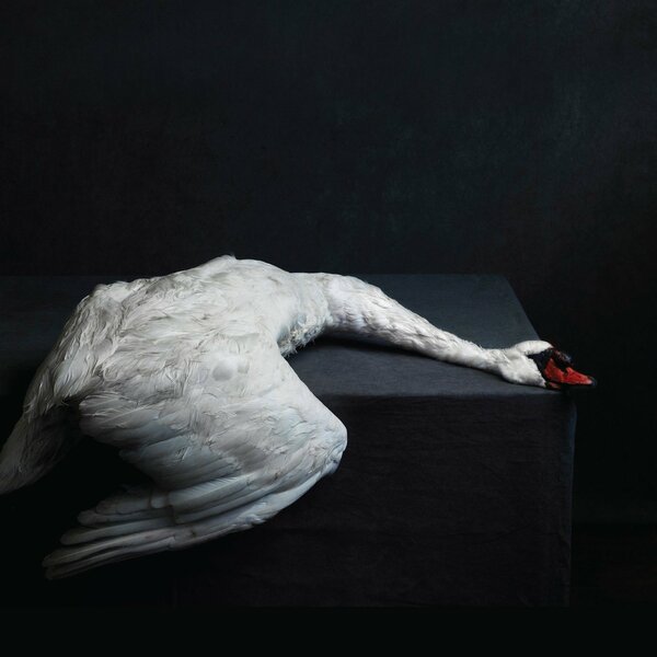 Amenra - A Solitary Reign