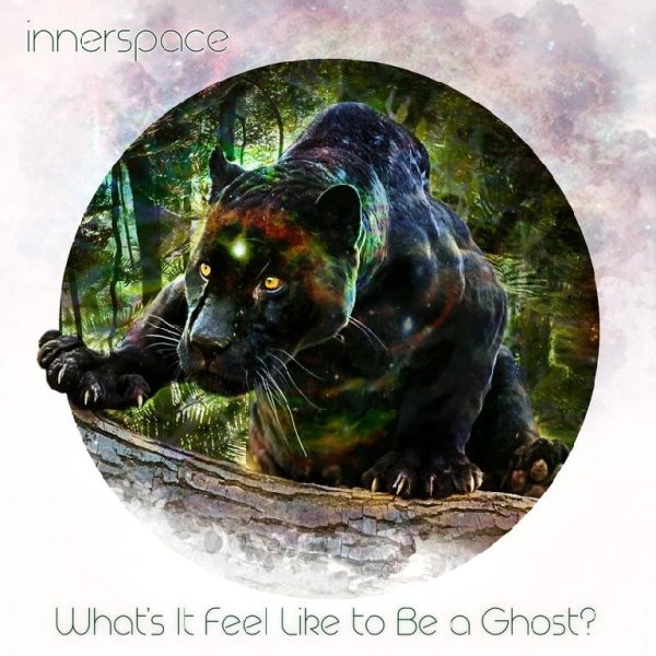 Innerspace - What's It Feel Like to Be a Ghost?