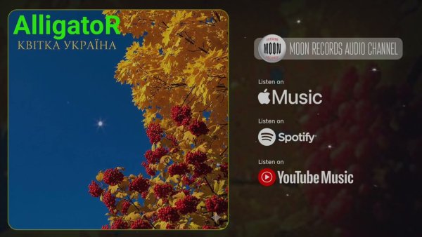ALLIGATOR - Квітка Україна (13 нояб. 2025г.)