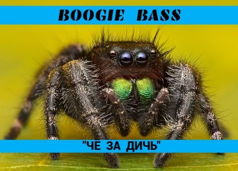 BOOGIE BASS - Феодал.