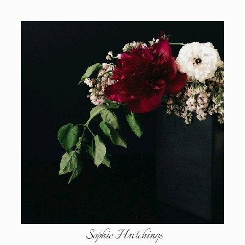 Sophie Hutchings - By Night