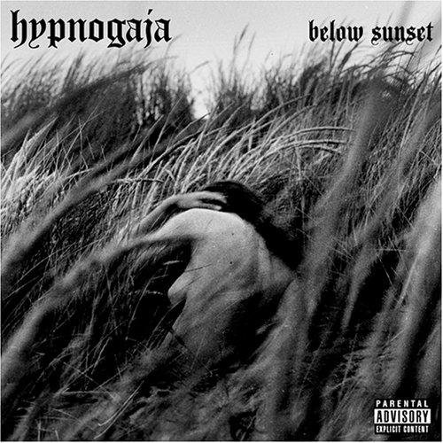 Hypnogaja - Put Your Hate On Me