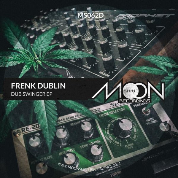 Frenk Dublin - Dub Swinger