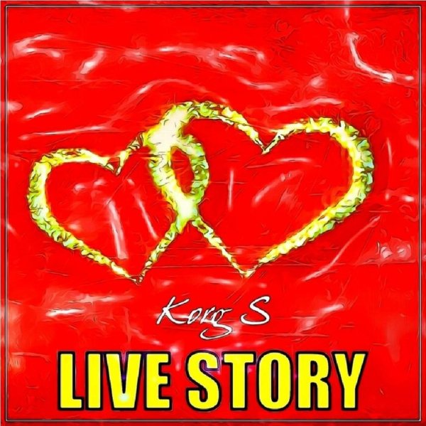 Korg S - Live story