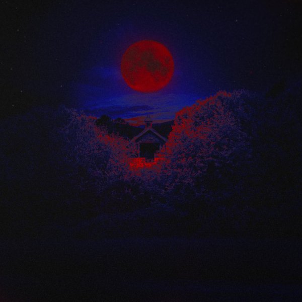 Absolutist - Immanent