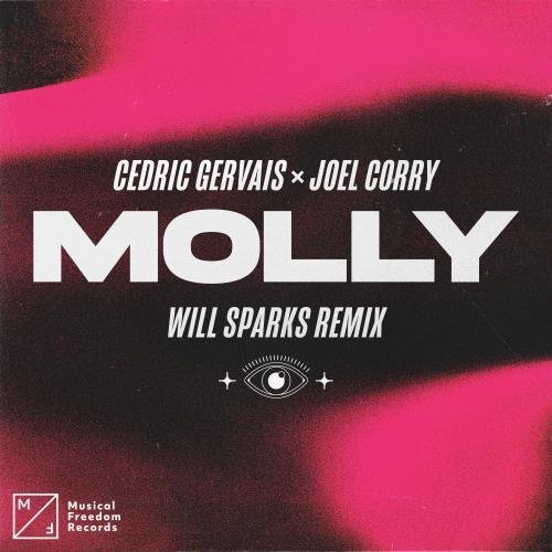 Cedric Gervais x Joel Corry - MOLLY (Will Sparks Extended Remix)