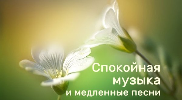 Panda Musik - Тебе я милой не была