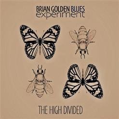Brian Golden Blues Experiment - Goin' Down