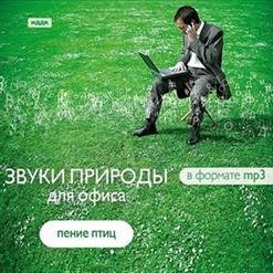 Звуки природы - Обыкновенная горлица