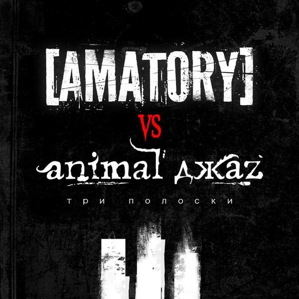 [AMATORY] vs Animal Джаz - Три полоски